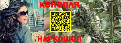 СК Новозыбков