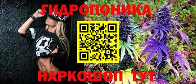 крисы Балашиха