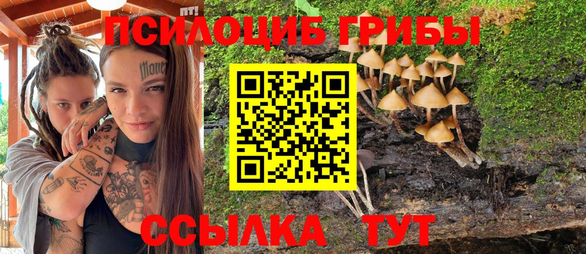 Галлюциногенные грибы Psilocybe  Вход с VPN  купить наркотик  Гулькевичи 