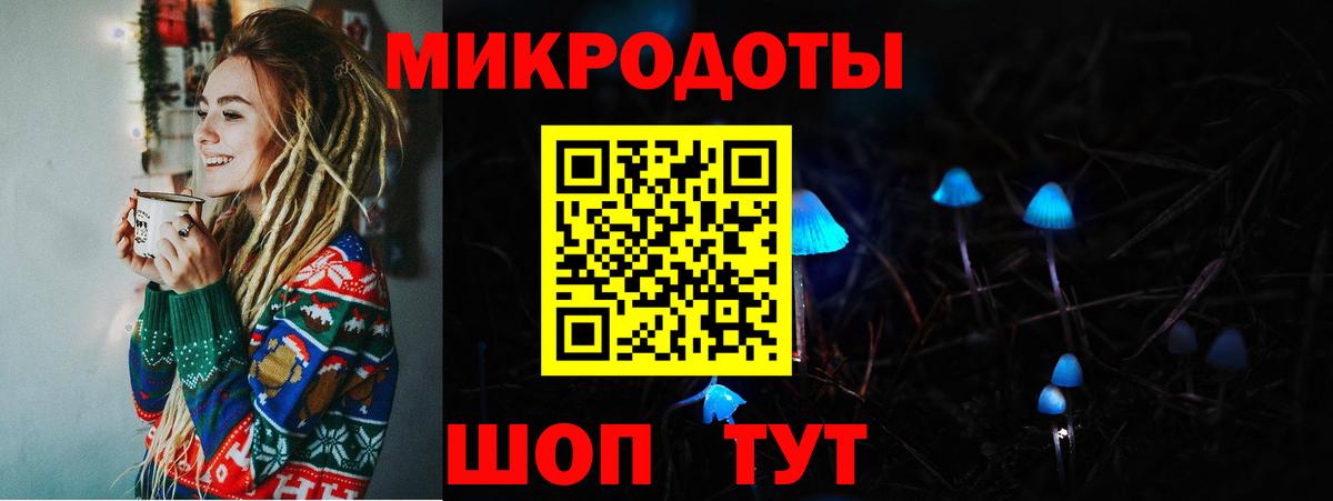 Псилоцибиновые грибы Psilocybe Гулькевичи